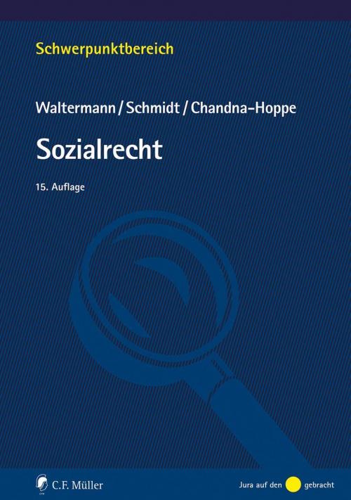 Waltermann/Schmidt: Sozialrecht